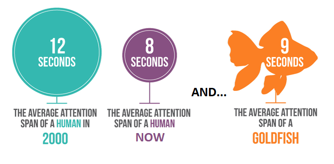 average attention span