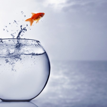 Avoid Drowning in Crap: 25 Ideas For Fresh Content