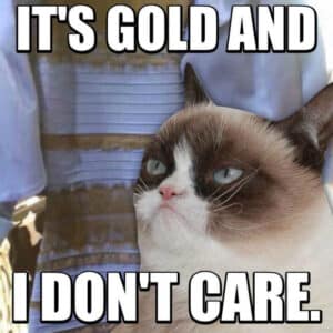 Grumpy-cat-meme