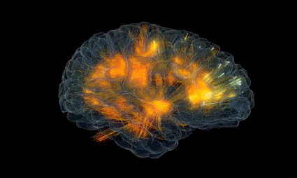 google brain