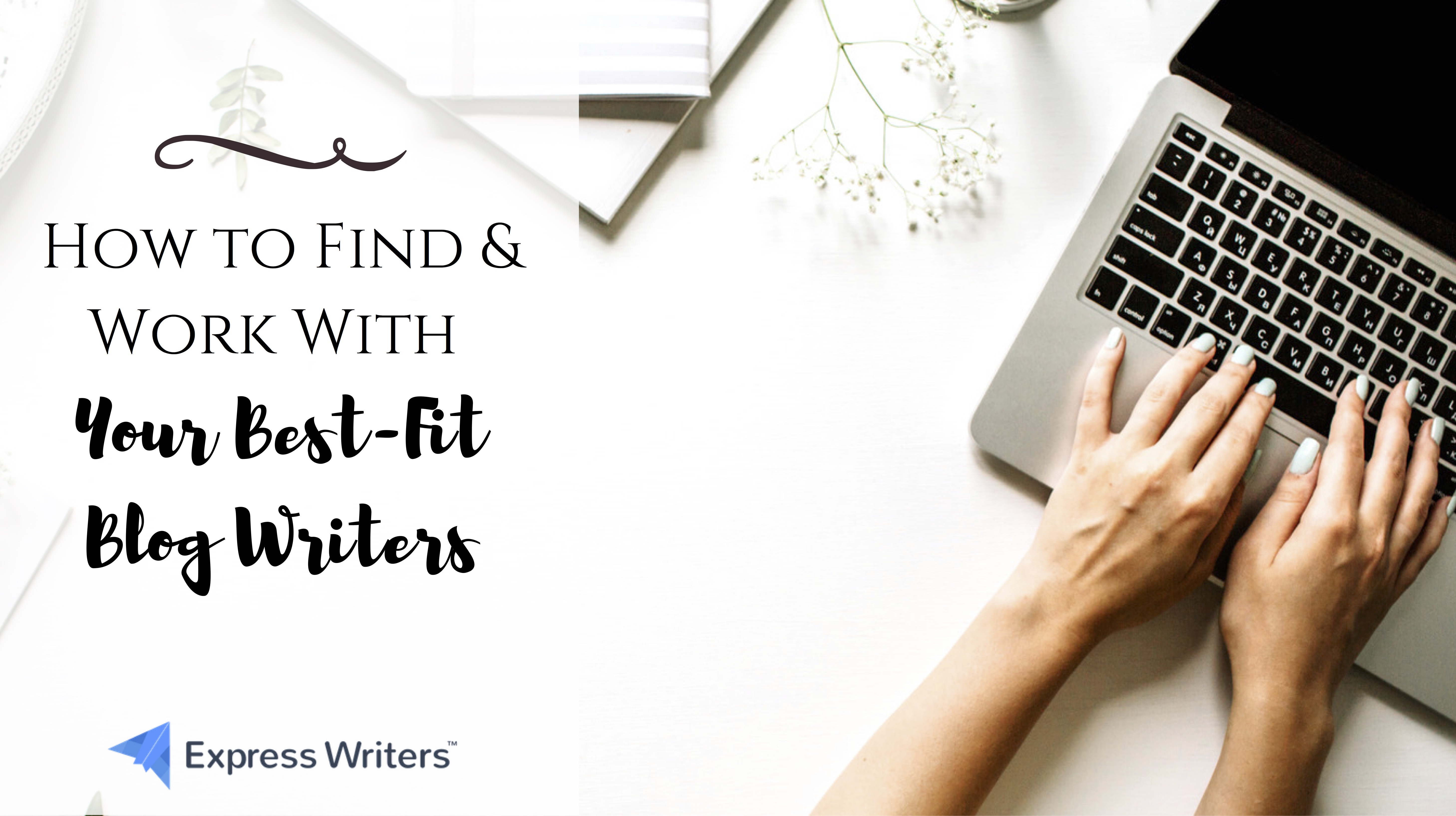 blog writer