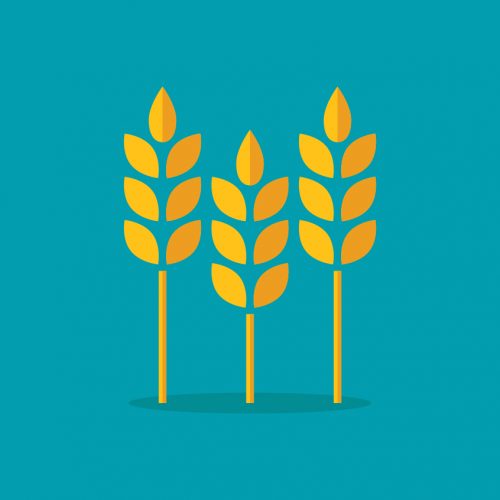 Separating the Wheat from the Chaff: 14 Traits to Look for In Your SEO Copywriting Service