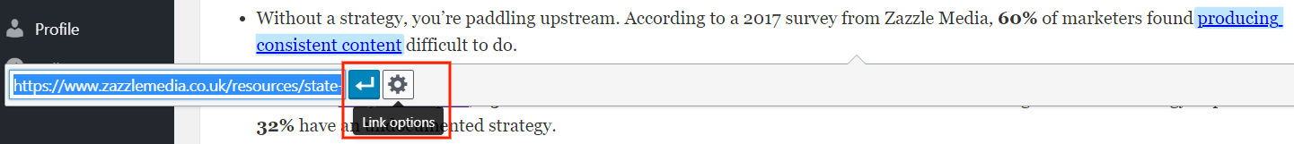 An "Open Link in a New Tab" checkbox in Wordpress Editor's edit link dialog box