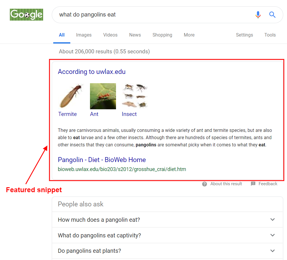 A featured snippet for the search "what do pangolins eat" typed in Google's search box.