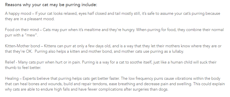 Whiskas why cats purr