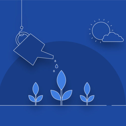 There's Nothing Magic About Brand-Building: How to Build a Brand That Lasts Organically Despite the Ups and Downs