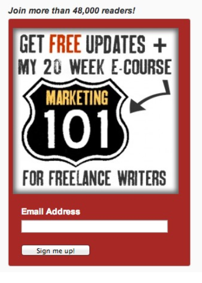 20 Week Ecourse lead magnet