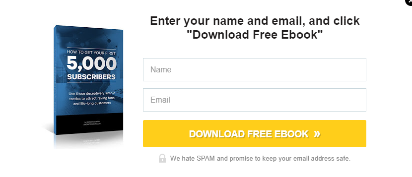 ebook lead magnet example