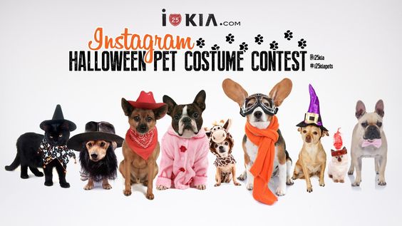 Kia halloween marketing