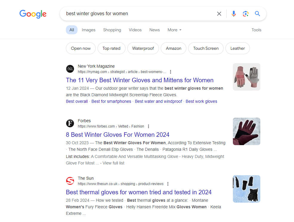 Meta Descriptions with Bolded Keywords 