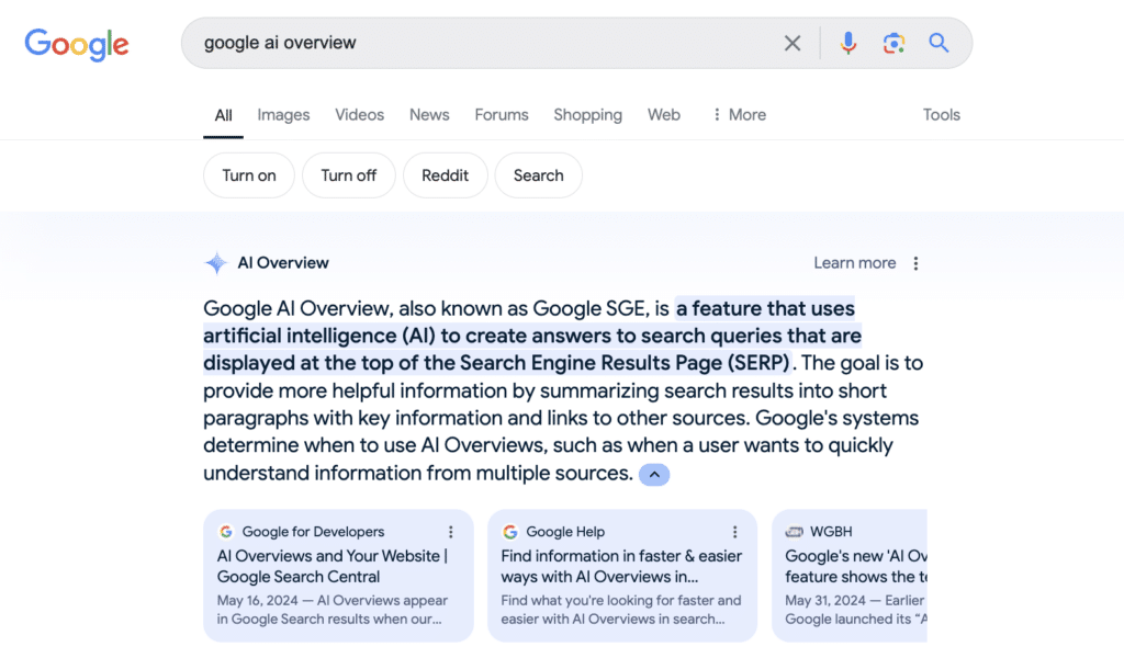 Example of AI Overview