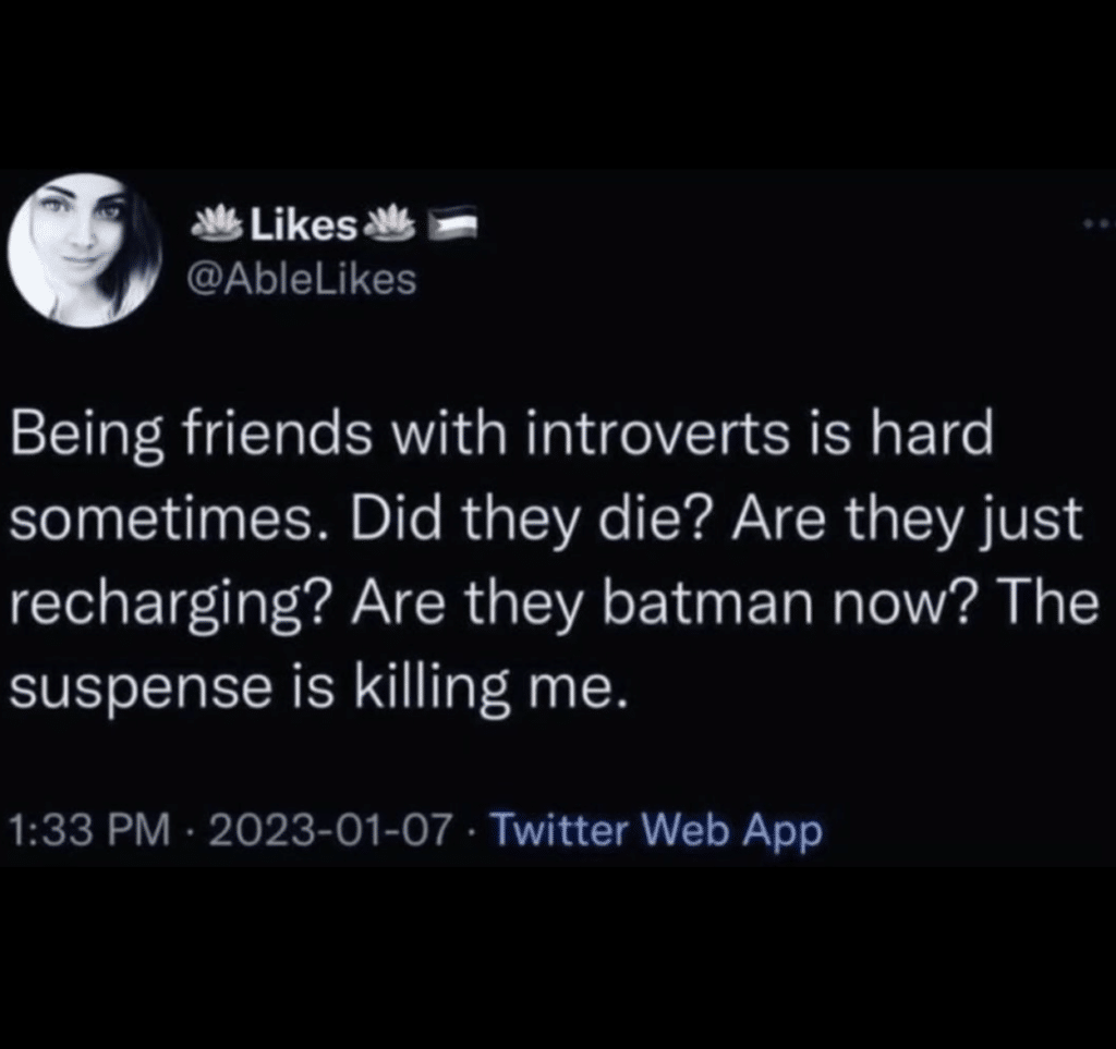  Introvert meme